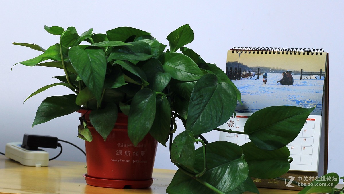 新手瞎拍，欢迎拍砖