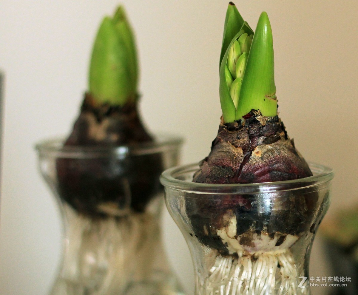 新手瞎拍，欢迎拍砖