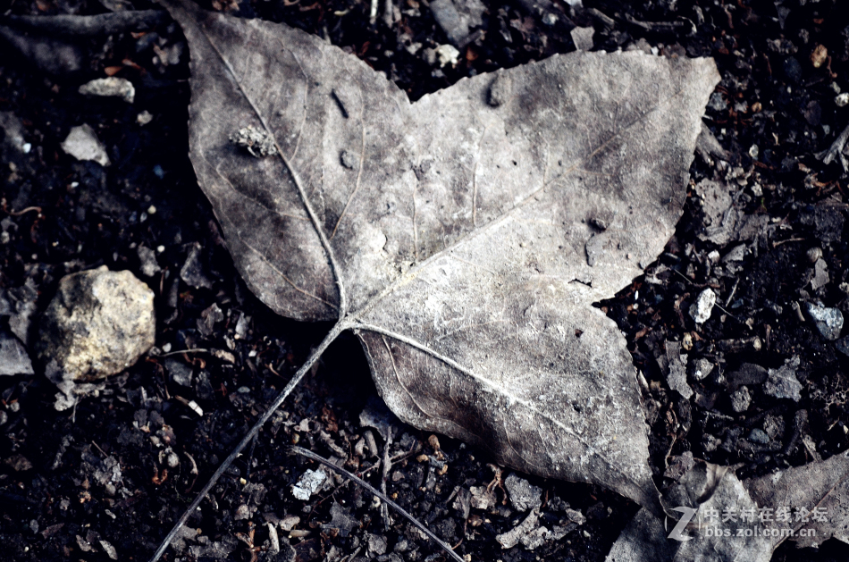 植物园掠影~~冬天的气息！