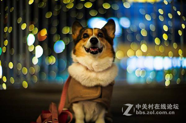 情迷大光圈：为什么徕卡的大光圈镜头这么贵