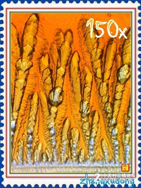 #版主坐堂# 2018年7月微距摄影星空(中国)作品集萃