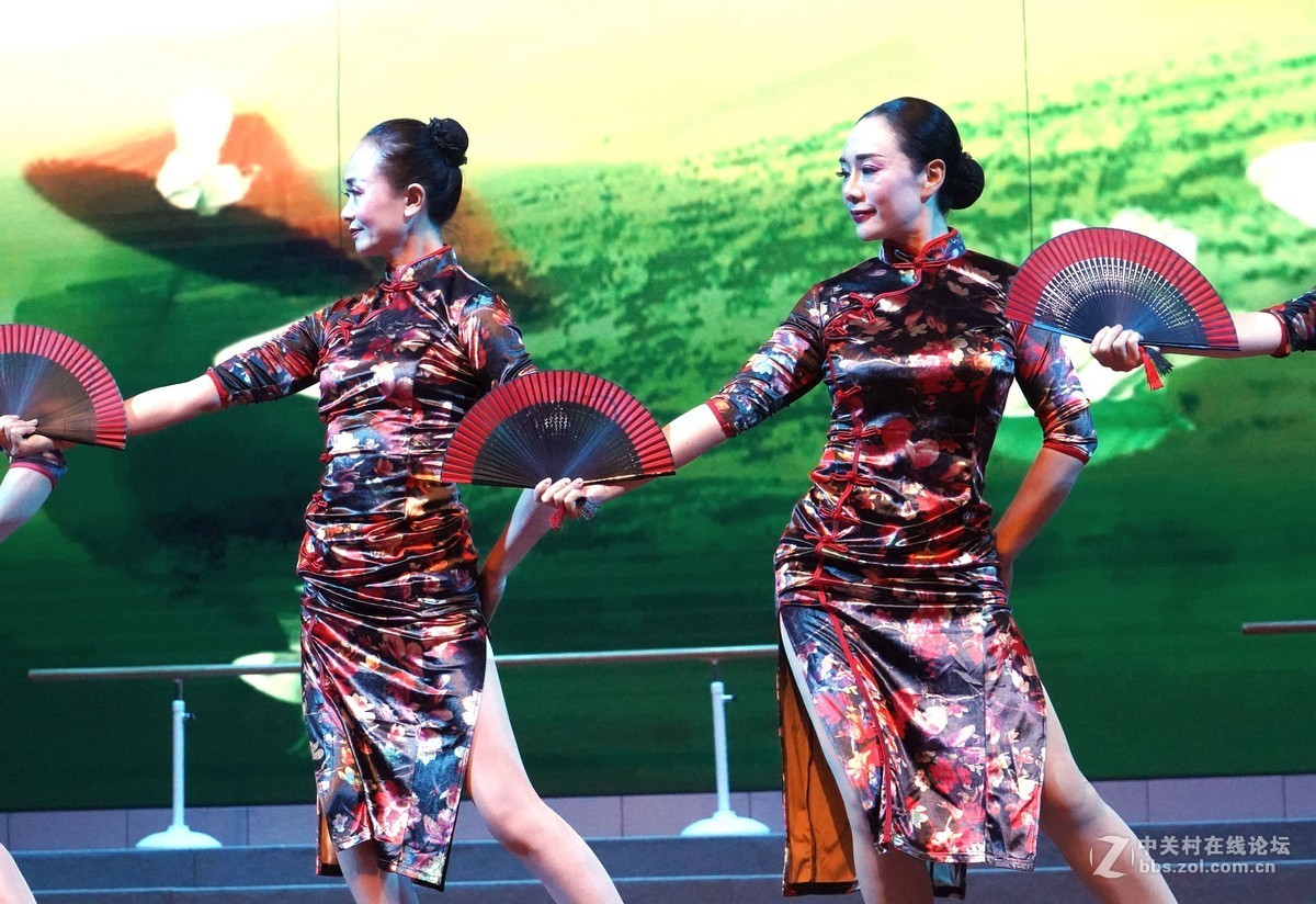 风韵卓姿一一中老年旗袍秀