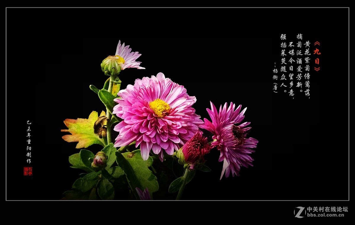 #版主坐堂#【天津版块】2015年10月金、银钻精华汇总（下）