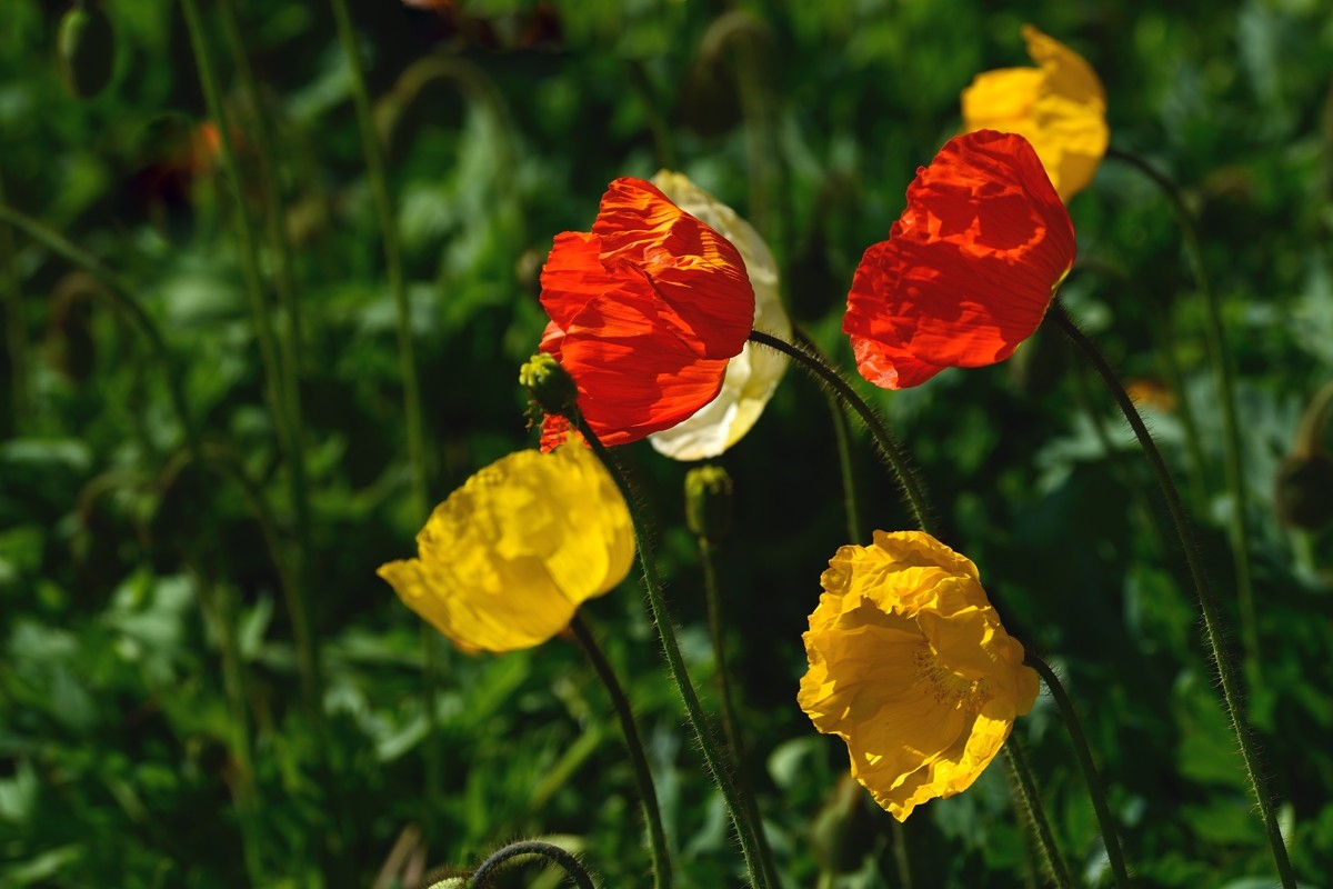 祝好友“晚之秋”荣任佳能5DsR星空(中国)版主！