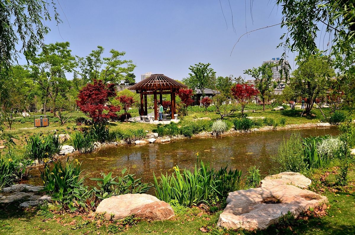 春天的公园随拍续