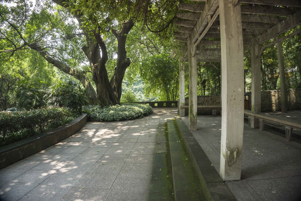 重慶夏天中的鵝嶺公園小遊