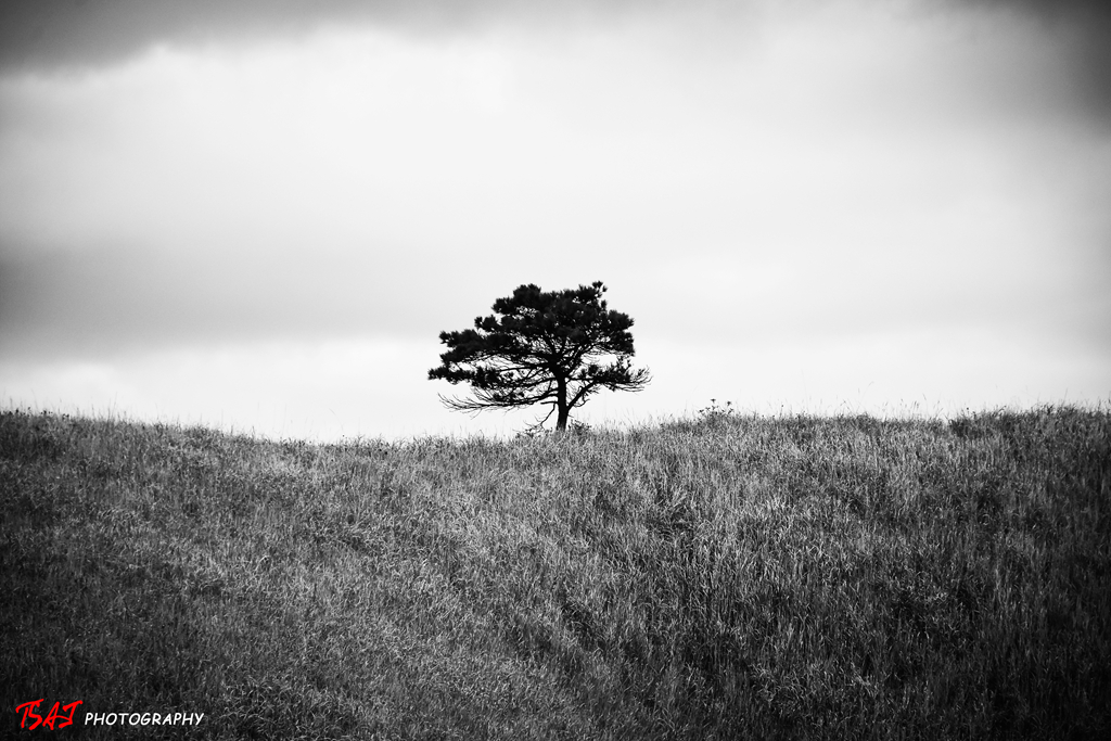 江西萍乡市武功山风景名胜景区