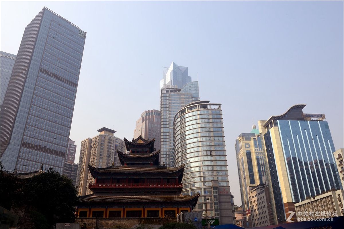 休闲随拍（342）