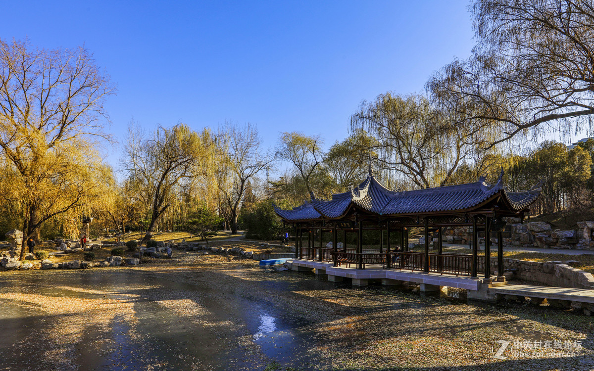 北京陶然亭公園