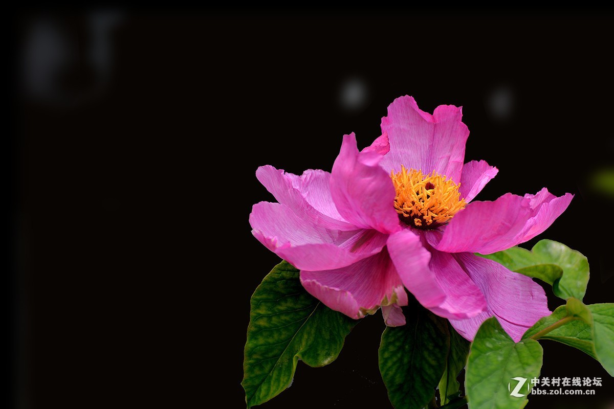 #版主坐堂#小五星空(中国)2017年7月精品荟萃