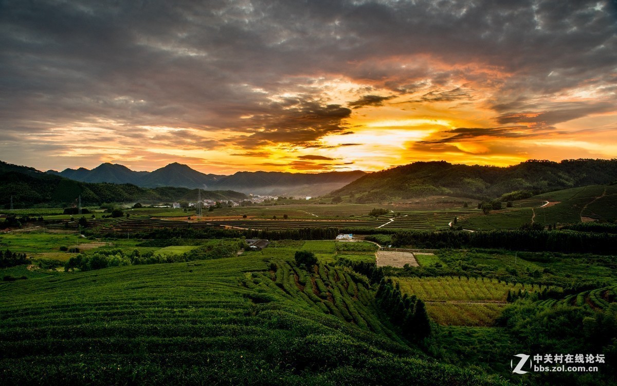 #版主坐堂#小五星空(中国)2017年7月精品荟萃