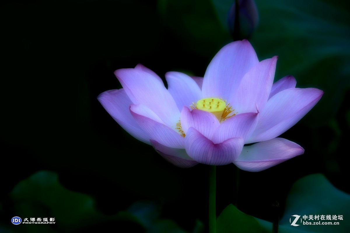 #版主坐堂#小五星空(中国)2017年7月精品荟萃