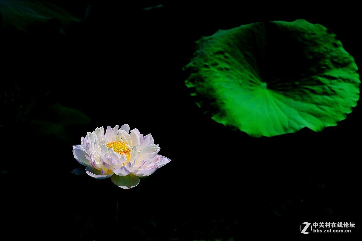 #版主坐堂#小五星空(中国)2017年7月精品荟萃