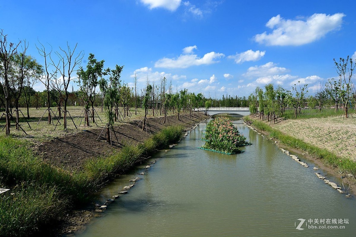 上海浦江郊野公園2