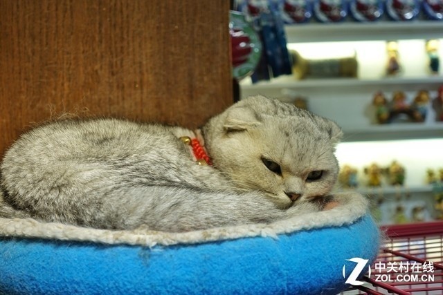 彩云之南 我们徒步去雨崩！