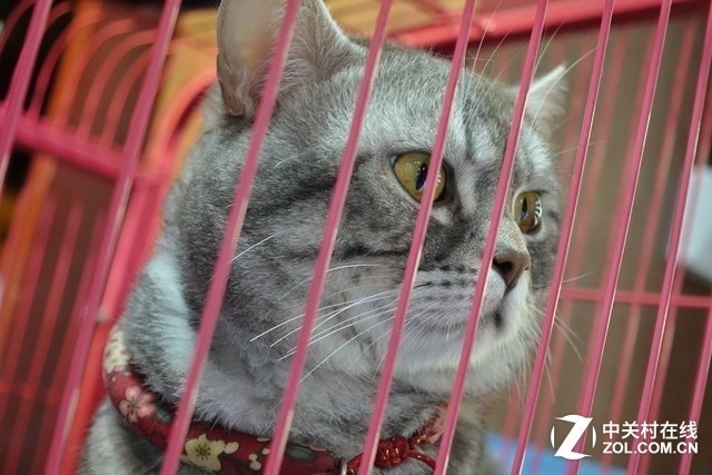 彩云之南 我们徒步去雨崩！