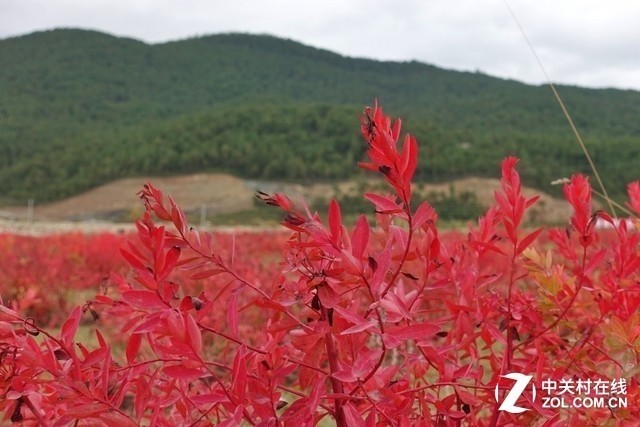 彩云之南 我们徒步去雨崩！