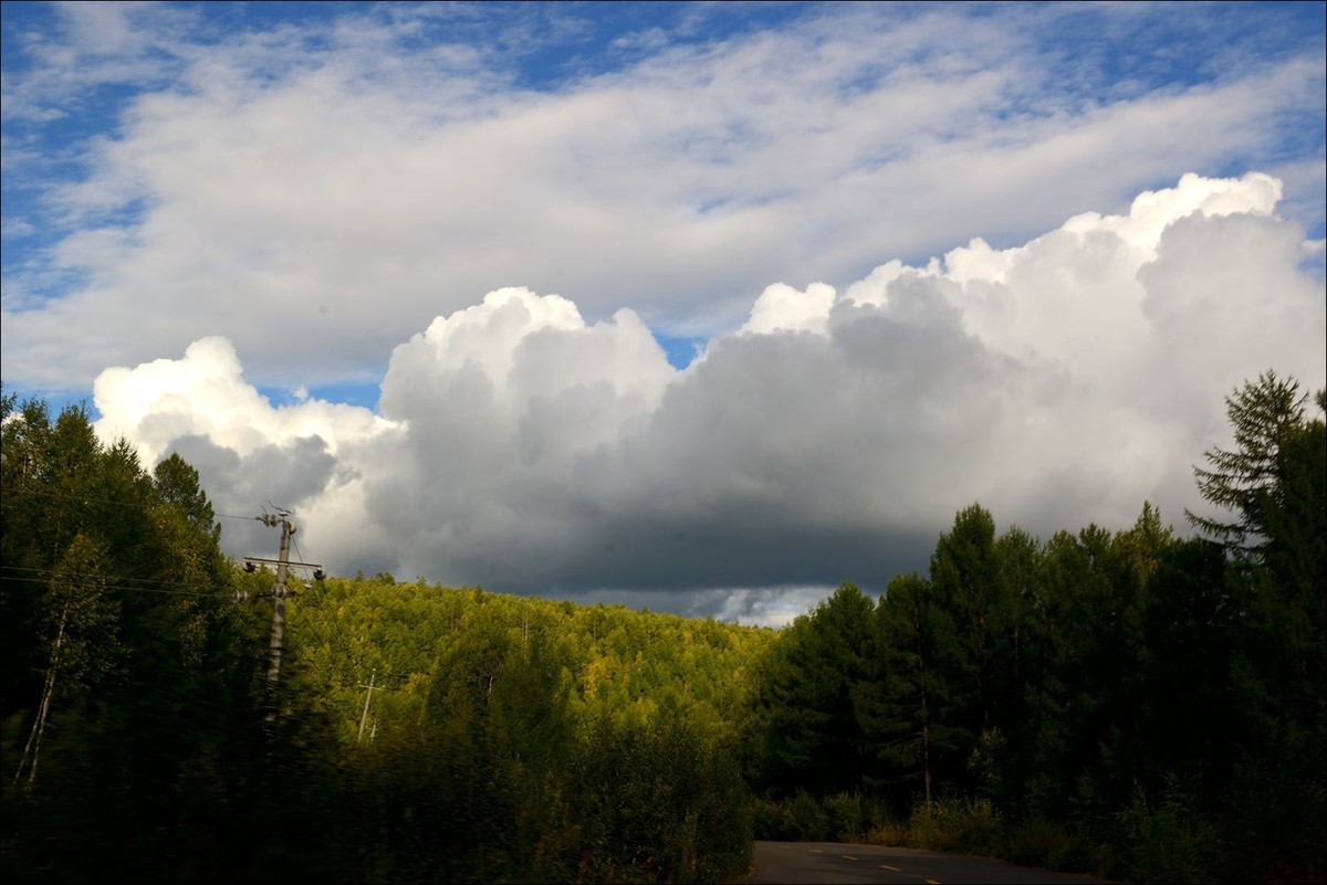 休闲随拍（368）