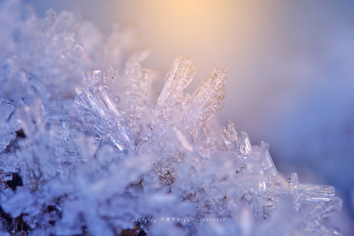 #佳能月赛-冬日精彩# 冰雪奇缘