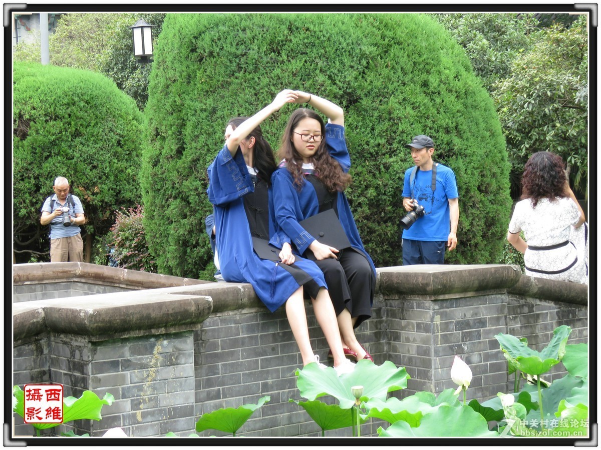 毕业时节逢荷开