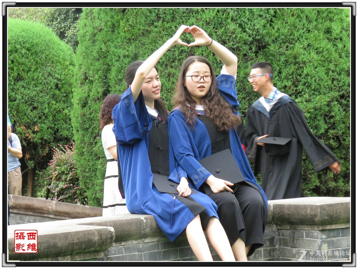 毕业时节逢荷开