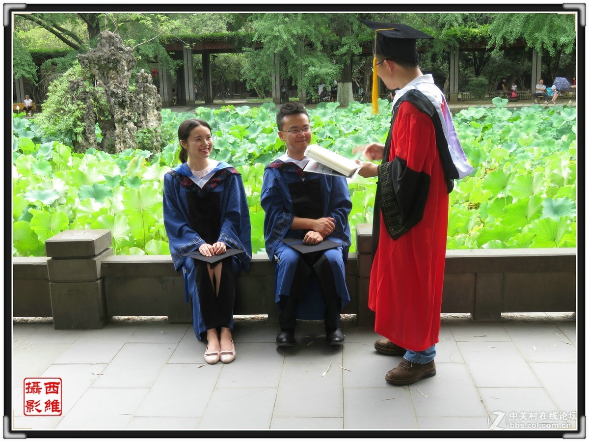 毕业时节逢荷开