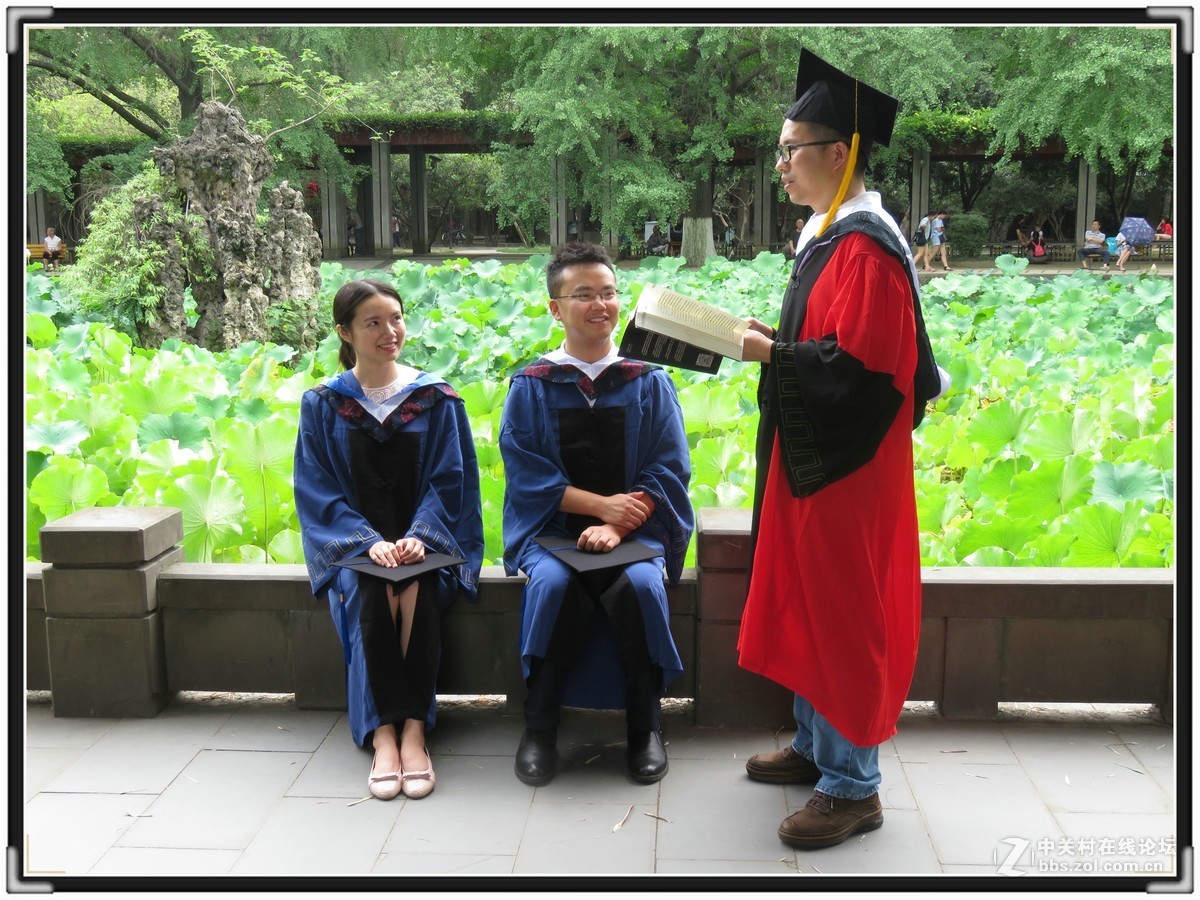 毕业时节逢荷开