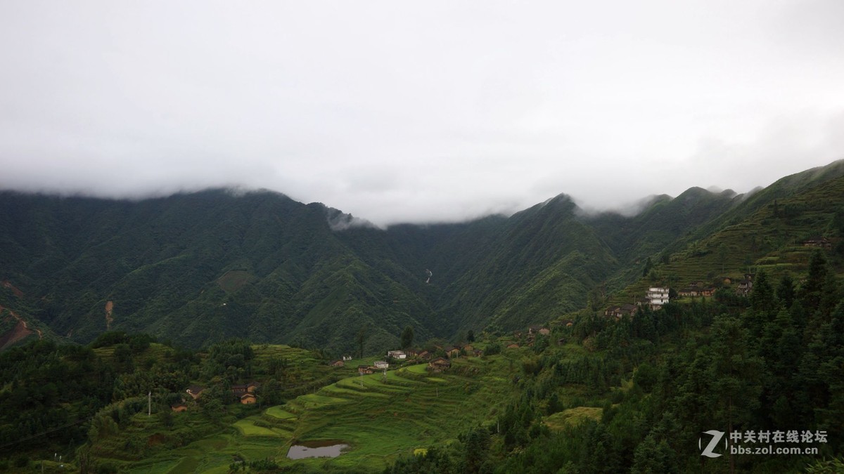 晨雾、梯田、山村。