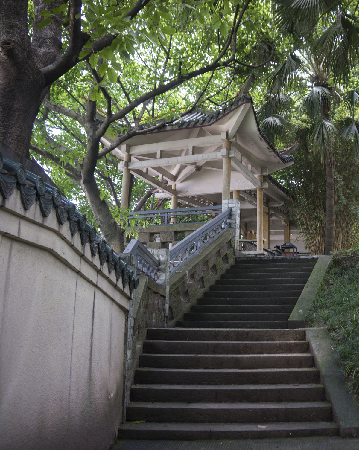 重庆夏天中的鹅岭公园小游