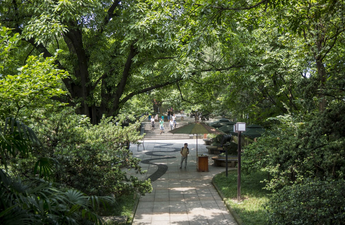 重慶夏天中的鵝嶺公園小遊