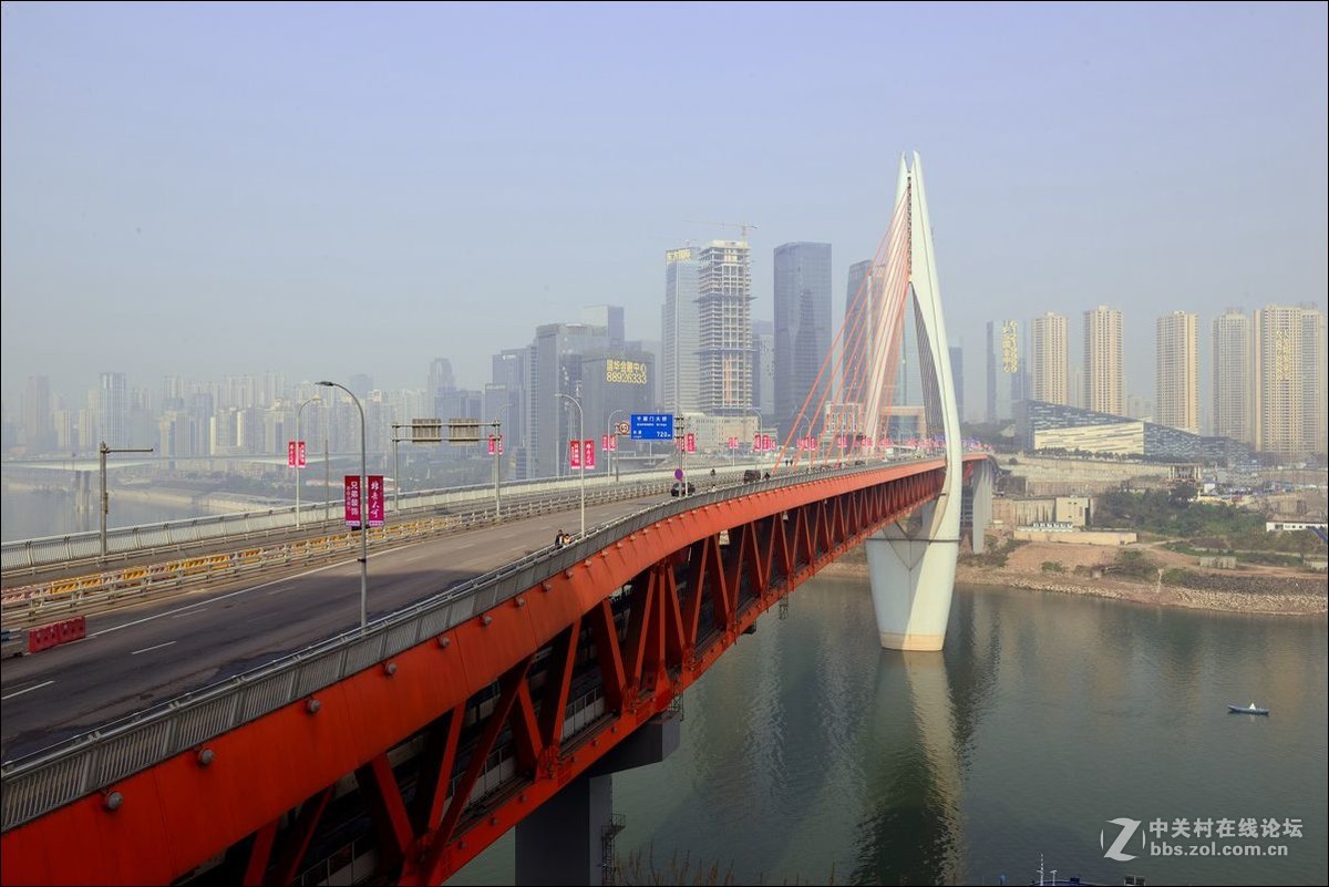 休闲随拍（342）