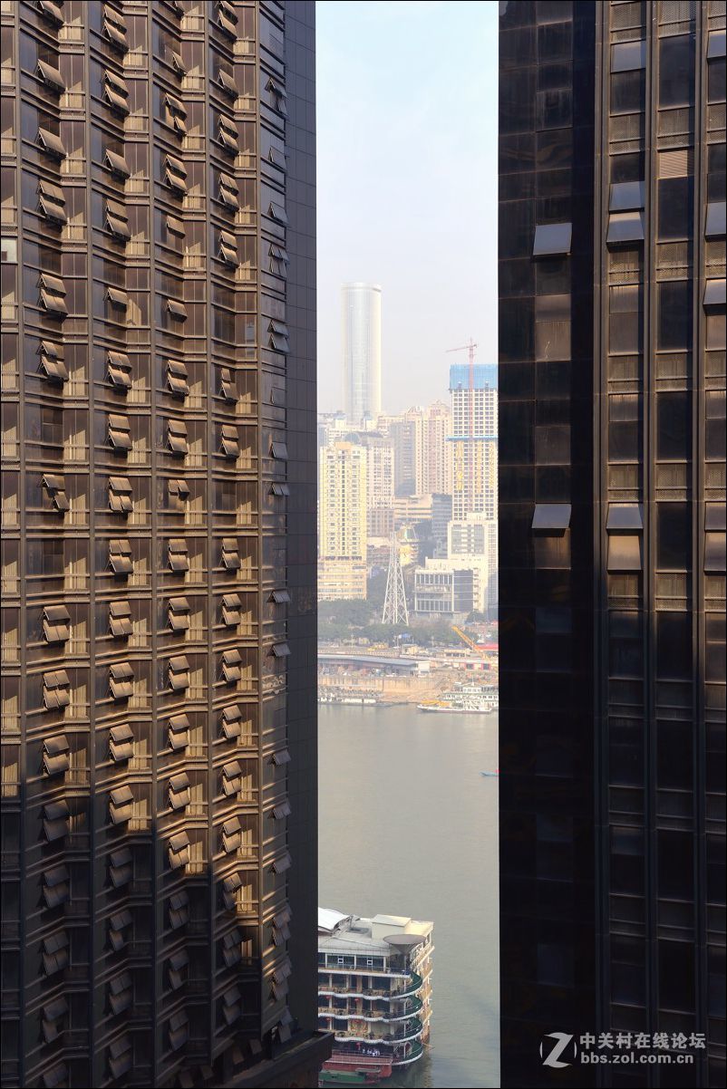 休闲随拍（342）