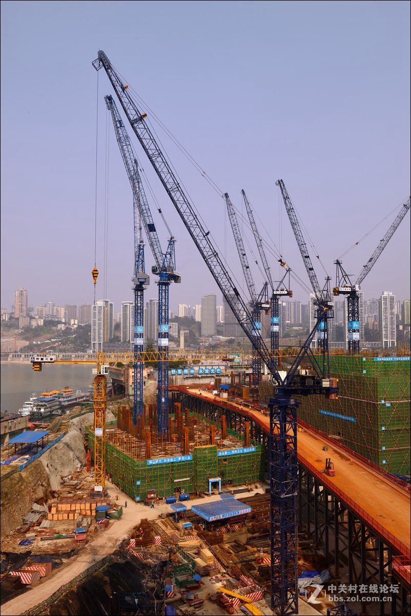 休闲随拍（342）