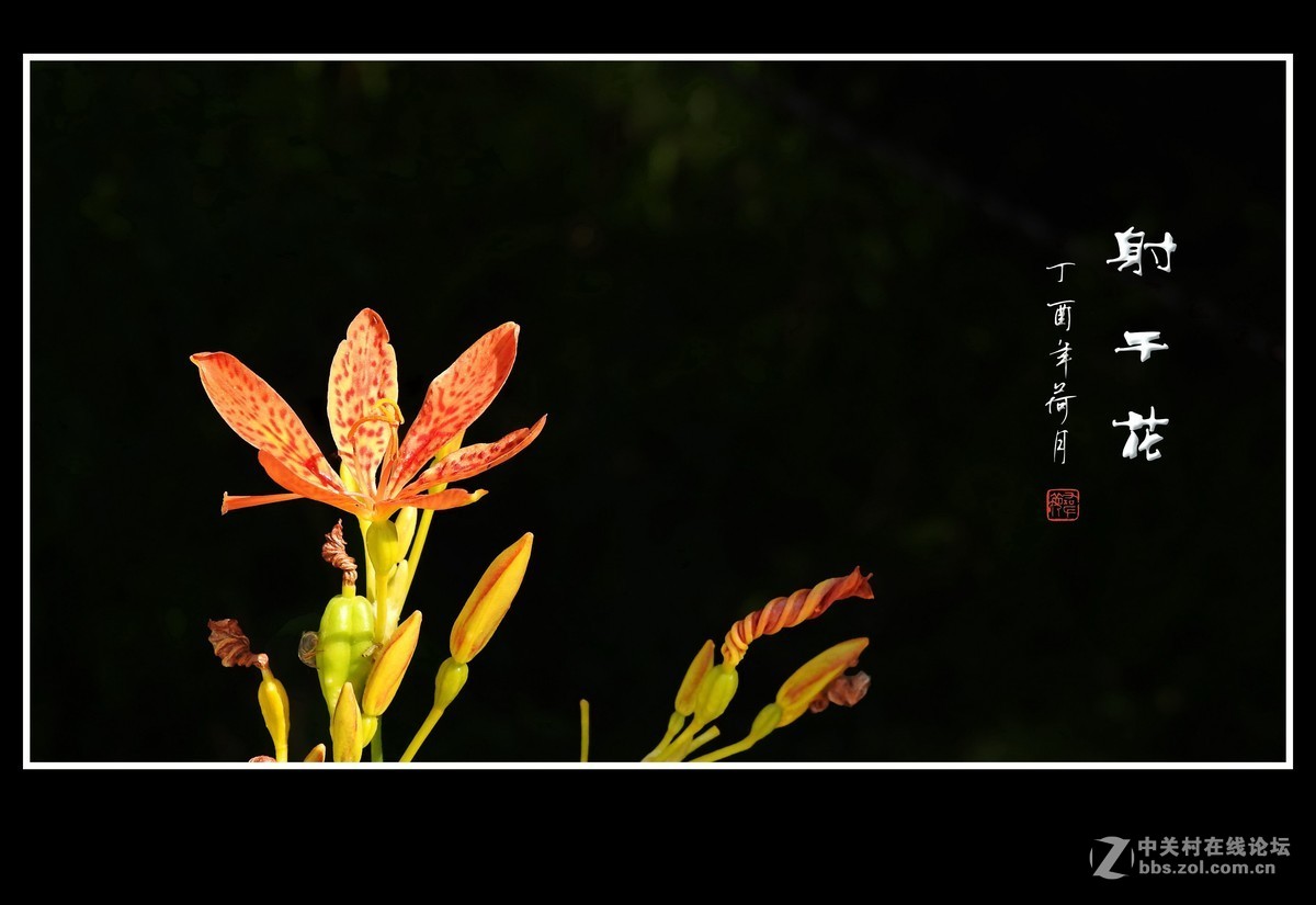 #版主坐堂#小五星空(中国)2017年7月精品荟萃