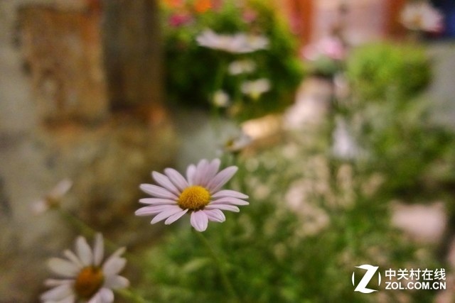 彩云之南 我们徒步去雨崩！