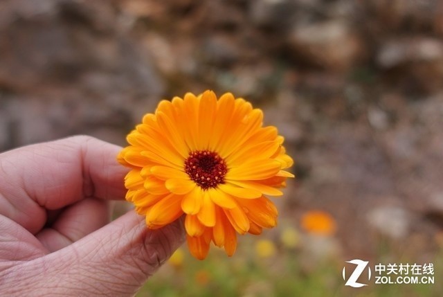 彩云之南 我们徒步去雨崩！