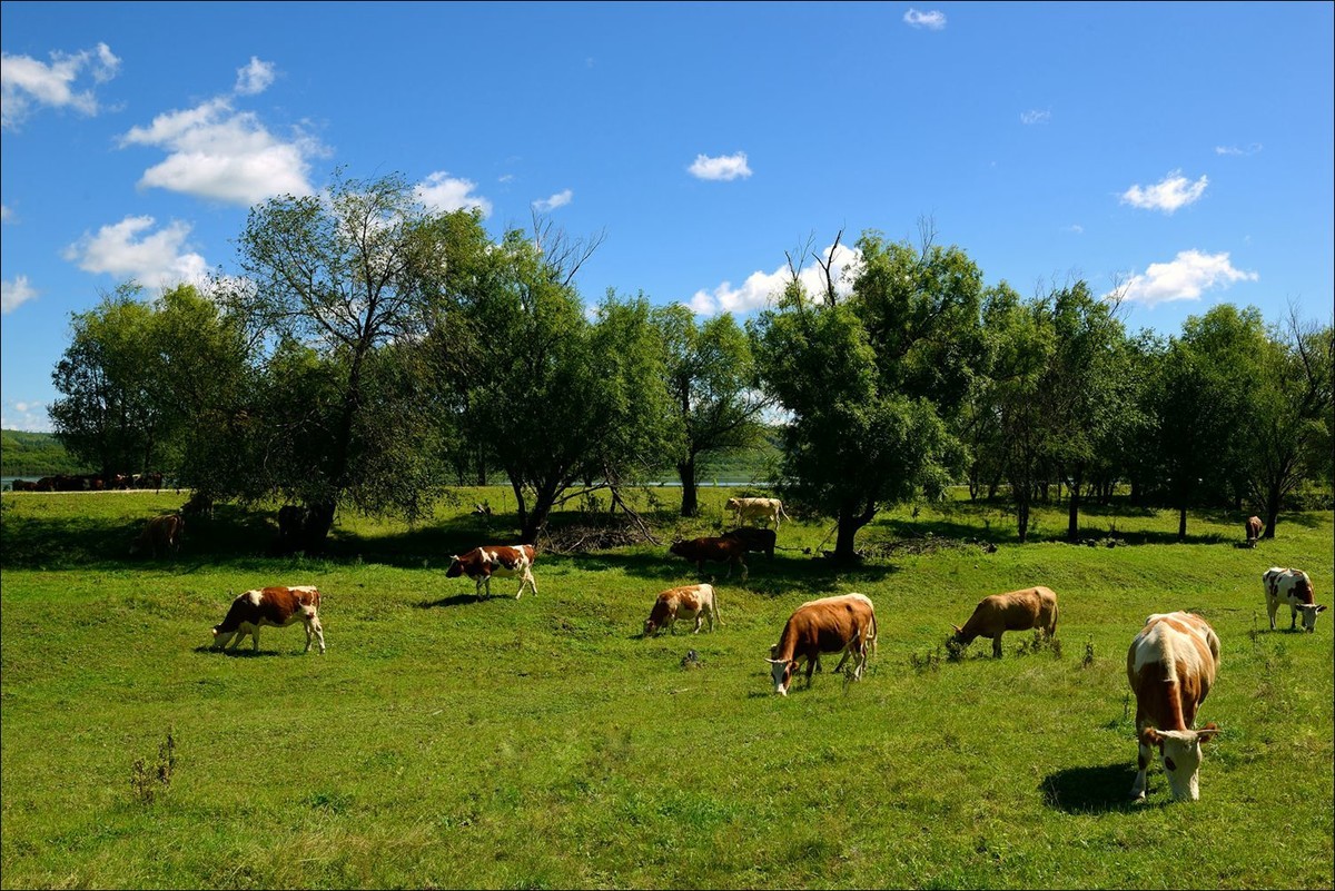 休闲随拍（368）