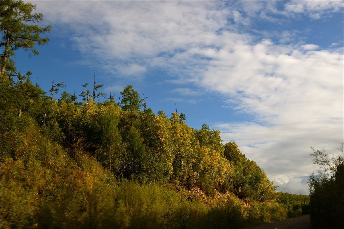 休闲随拍（368）