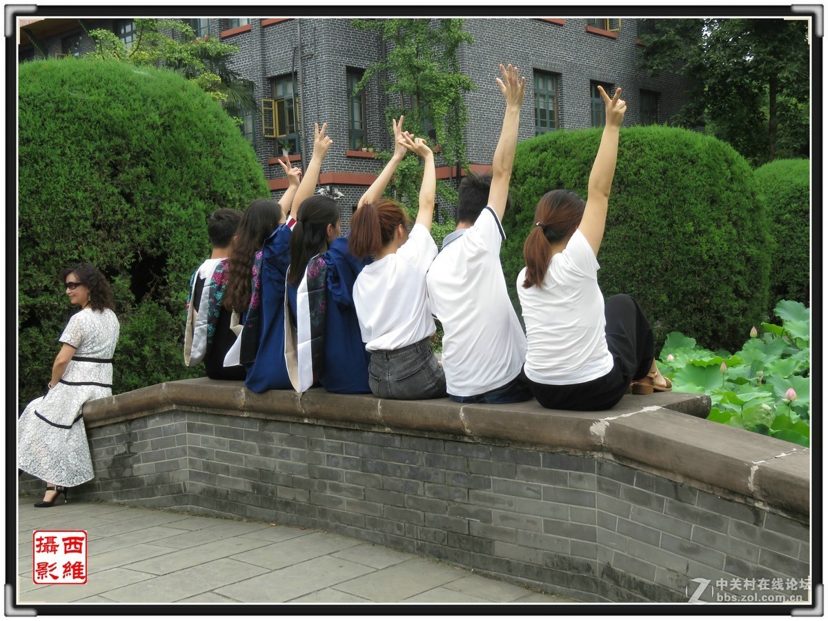 毕业时节逢荷开