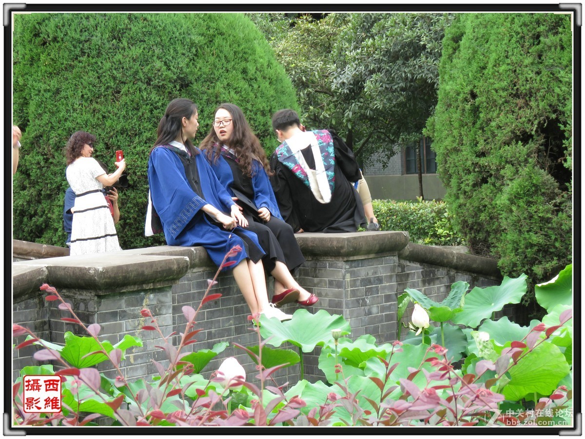 毕业时节逢荷开