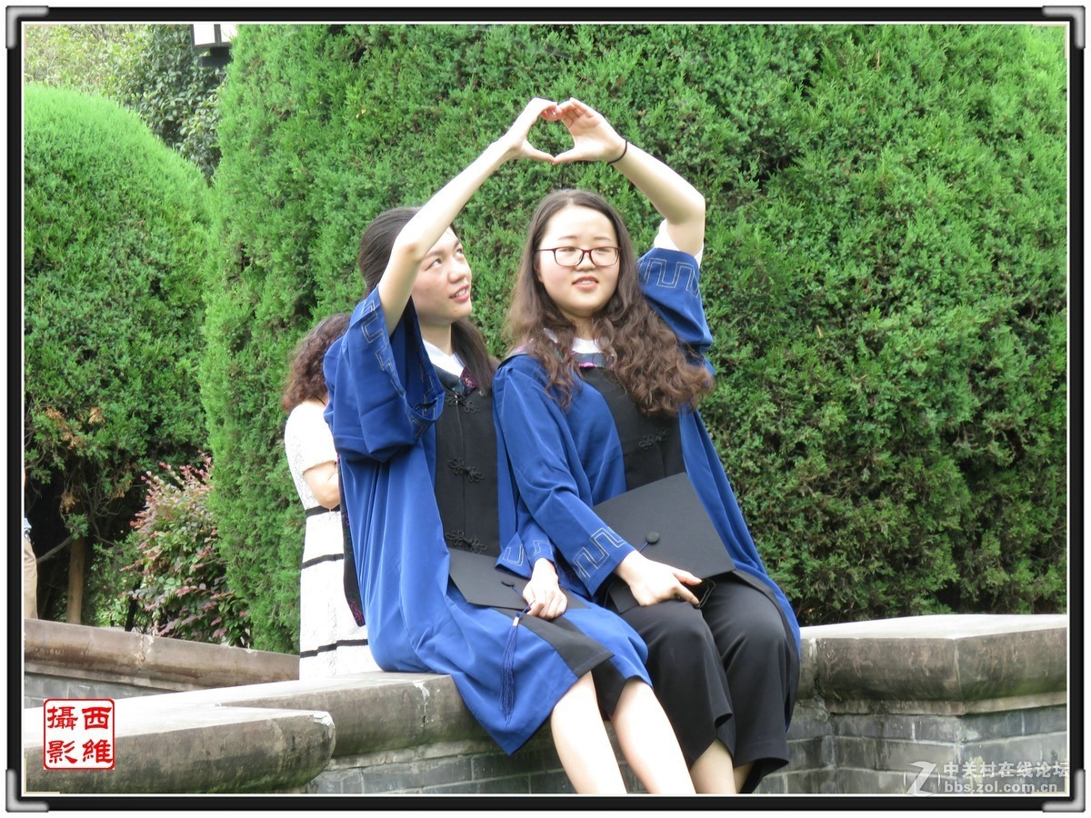 毕业时节逢荷开