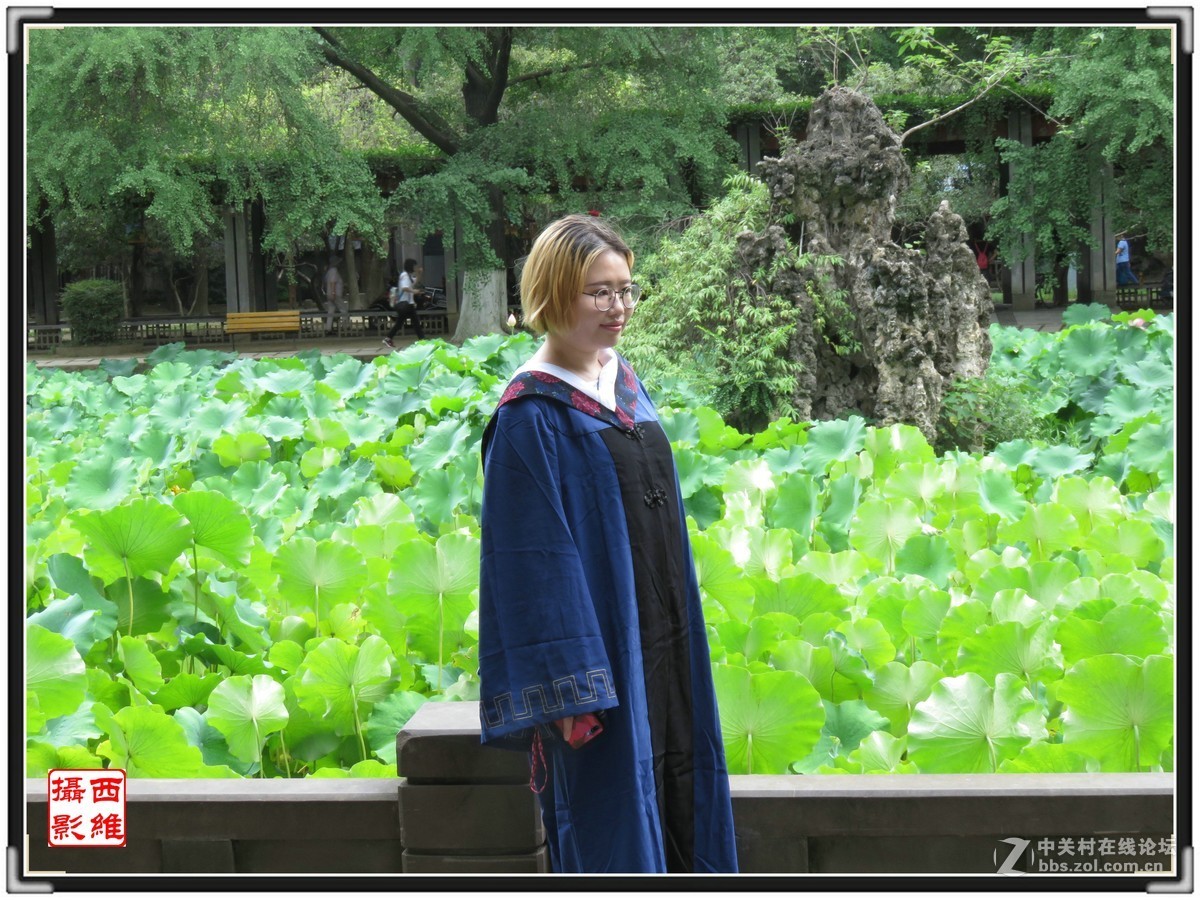 毕业时节逢荷开