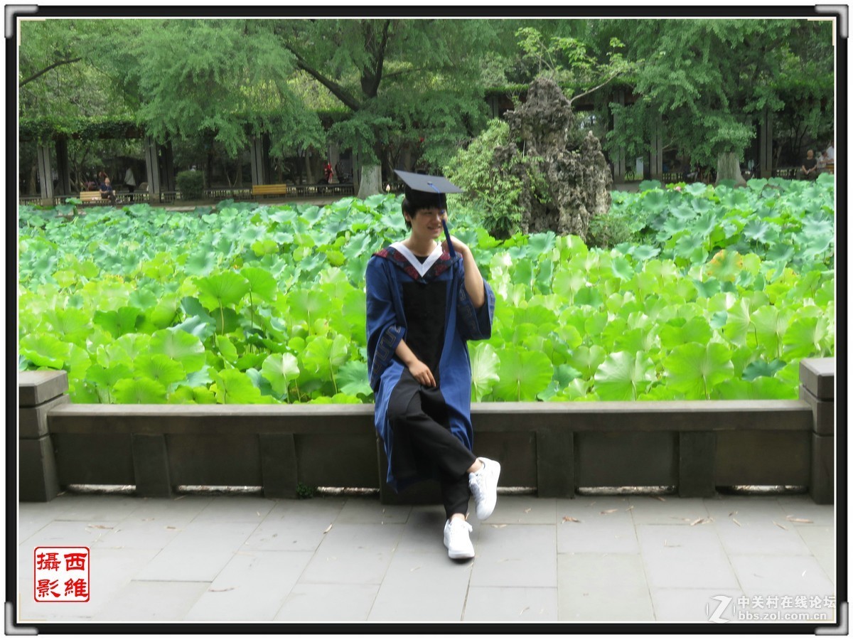 毕业时节逢荷开