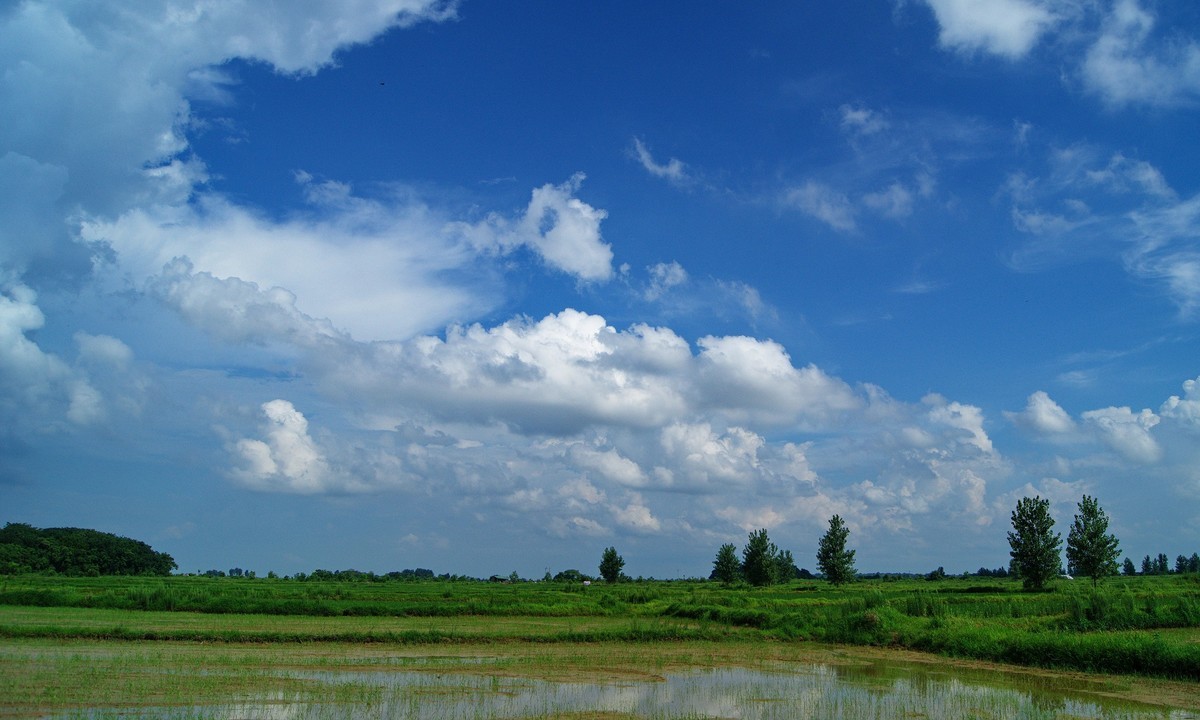 六月末的鄱阳湖平原