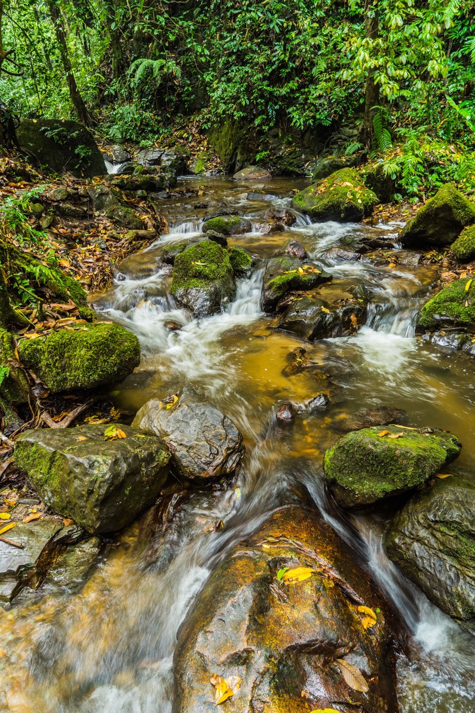 云南瑞丽莫里瀑布
