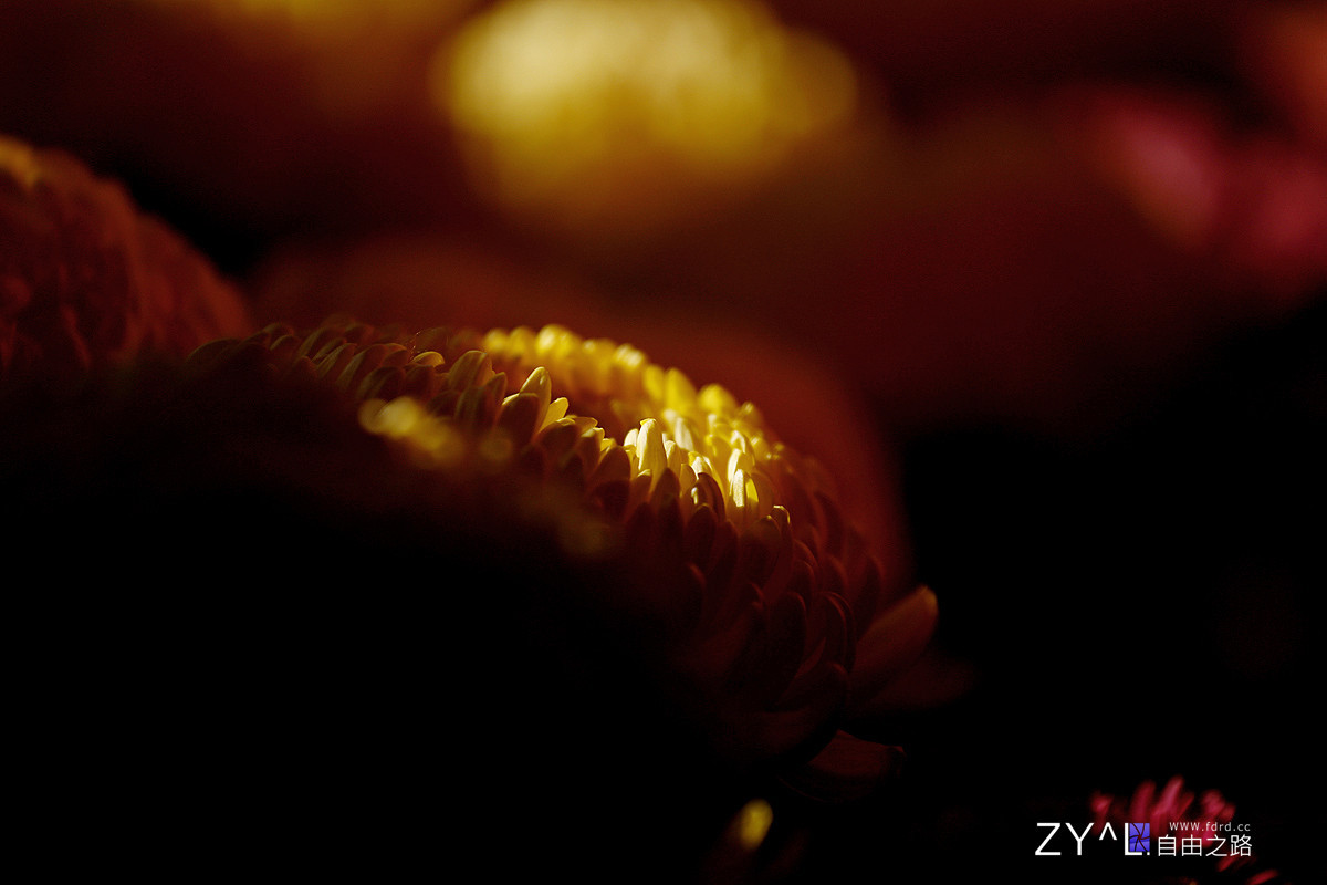 #版主坐堂#【天津版块】2015年10月金、银钻精华汇总（下）