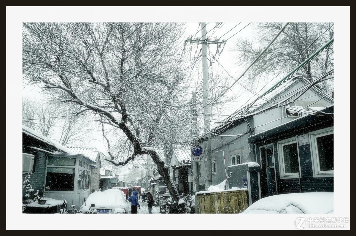 GRii：润雪笼京城