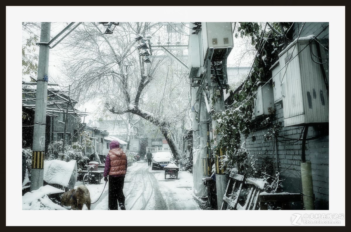 GRii：润雪笼京城