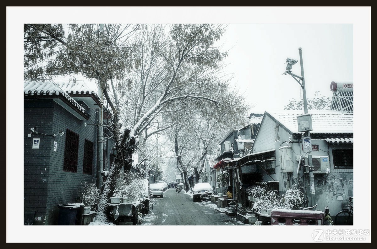 GRii：润雪笼京城