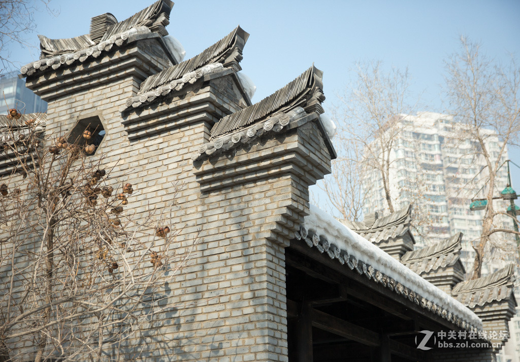 胡杨枯木与硅化木